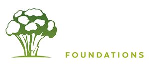 Raw Foundations
